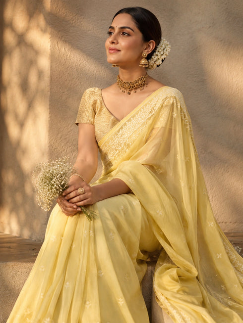 Handloom Cotton Floral Embroidered Saree for Women