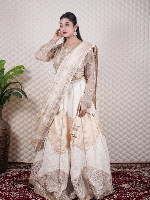 Chikankari & Zardozi Embellished Lehenga