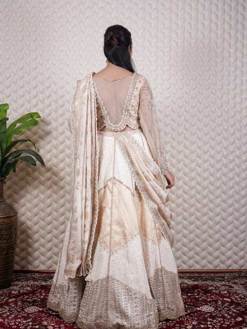 Chikankari & Zardozi Embellished Lehenga