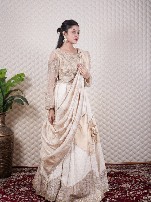 Chikankari & Zardozi Embellished Lehenga