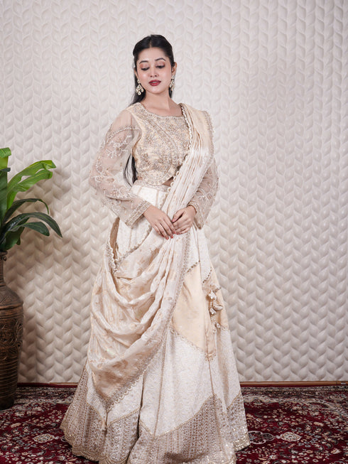Chikankari & Zardozi Embellished Lehenga