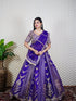 Embellished Lehenga with Gota & Zari