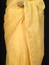 Lakhnavi Embroidered Yellow Saree