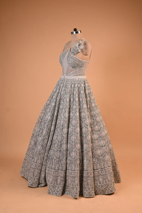 Silver Grey Feather Detail Embroidered Designer Gown
