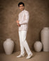 Men's royal purple Jodhpuri suit, a traditional Indian ethnic wear for formal events.