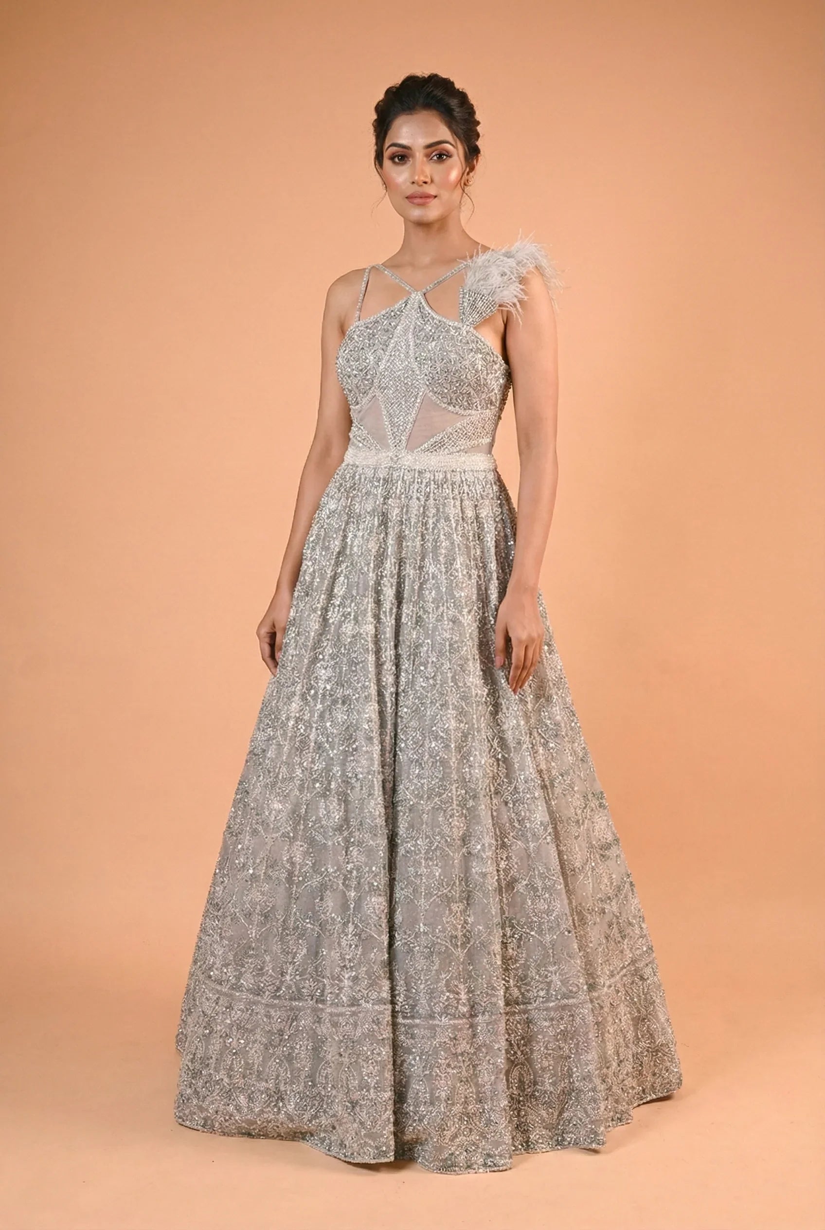 Silver Grey Feather Detail Embroidered Designer Gown