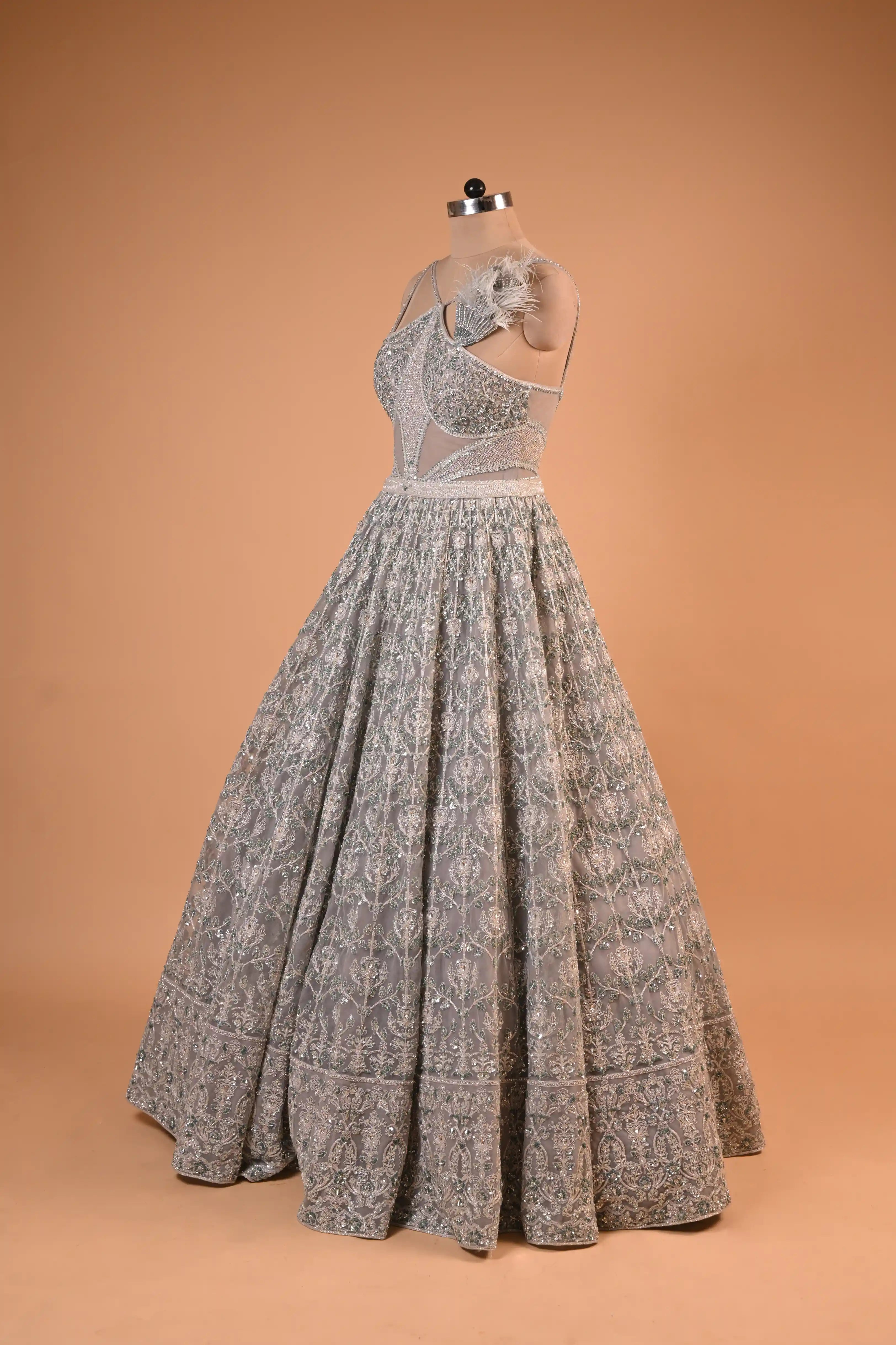 Silver Grey Feather Detail Embroidered Designer Gown