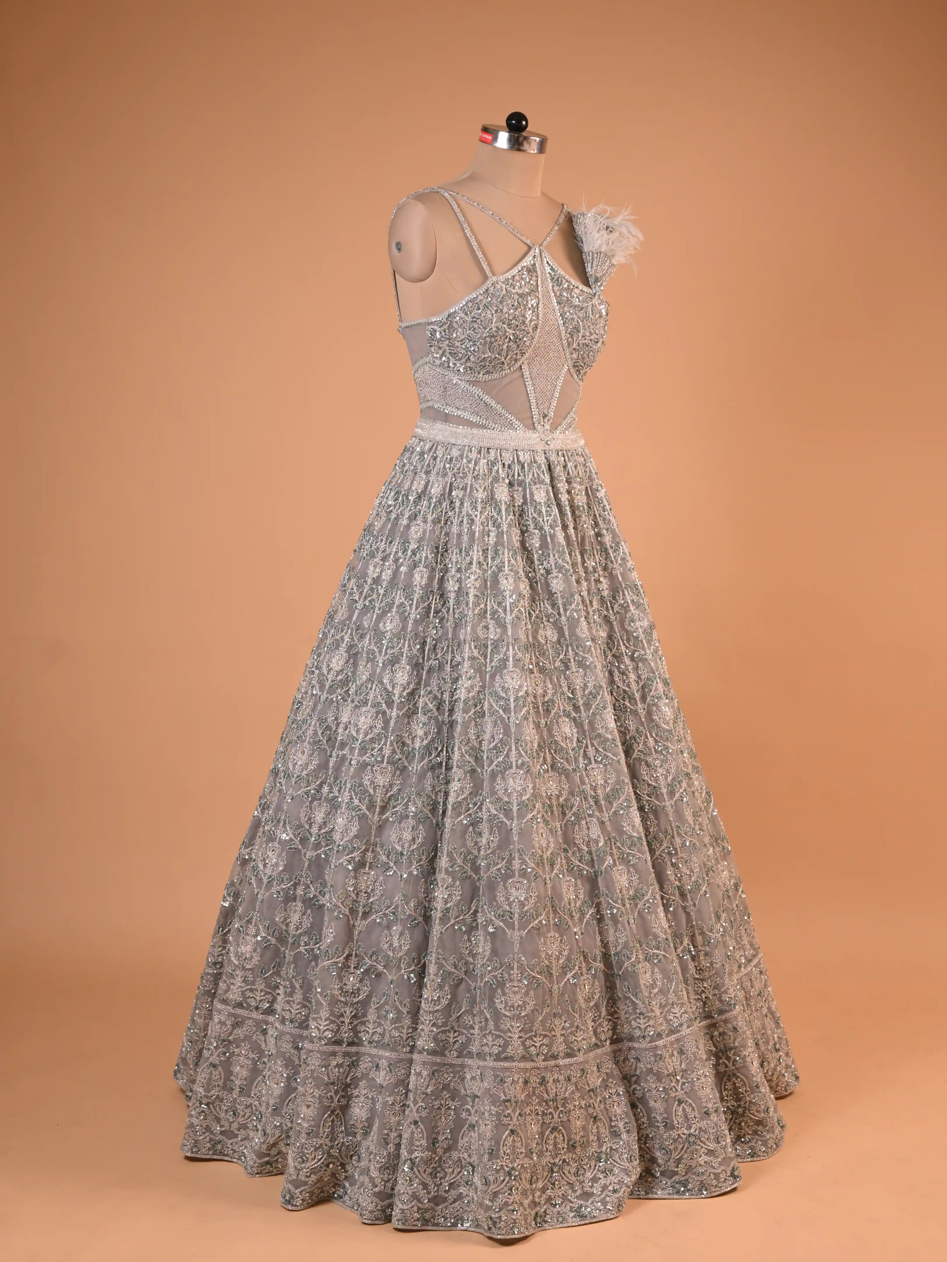 Silver Grey Feather Detail Embroidered Designer Gown